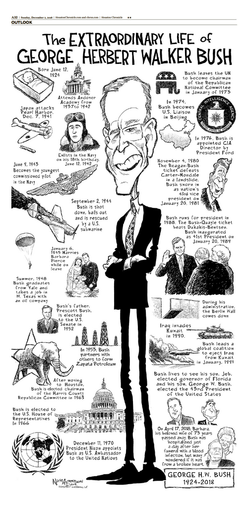 Nick Anderson's President Bush Comic- High-Gloss Poster (11"x22")